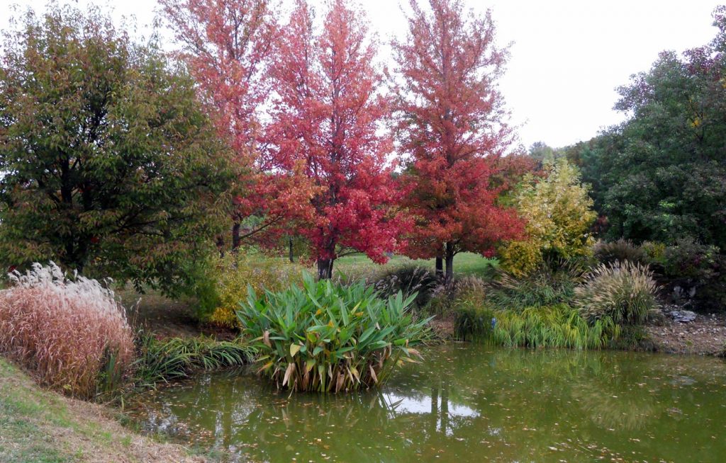 Jardin du bois Maquis à Vernioz